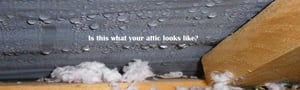 The Challenge in Diagnosing and Preventing Winter Roof Leaks