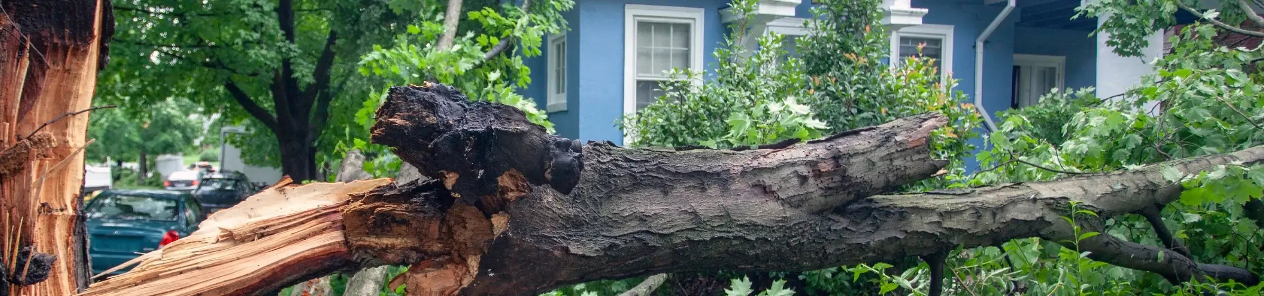 inc_10_Renaissance-Blog_2560x600_Tornado-Damage-3